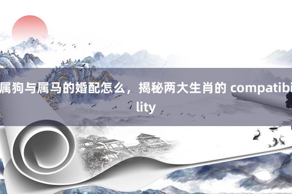 属狗与属马的婚配怎么，揭秘两大生肖的 compatibility